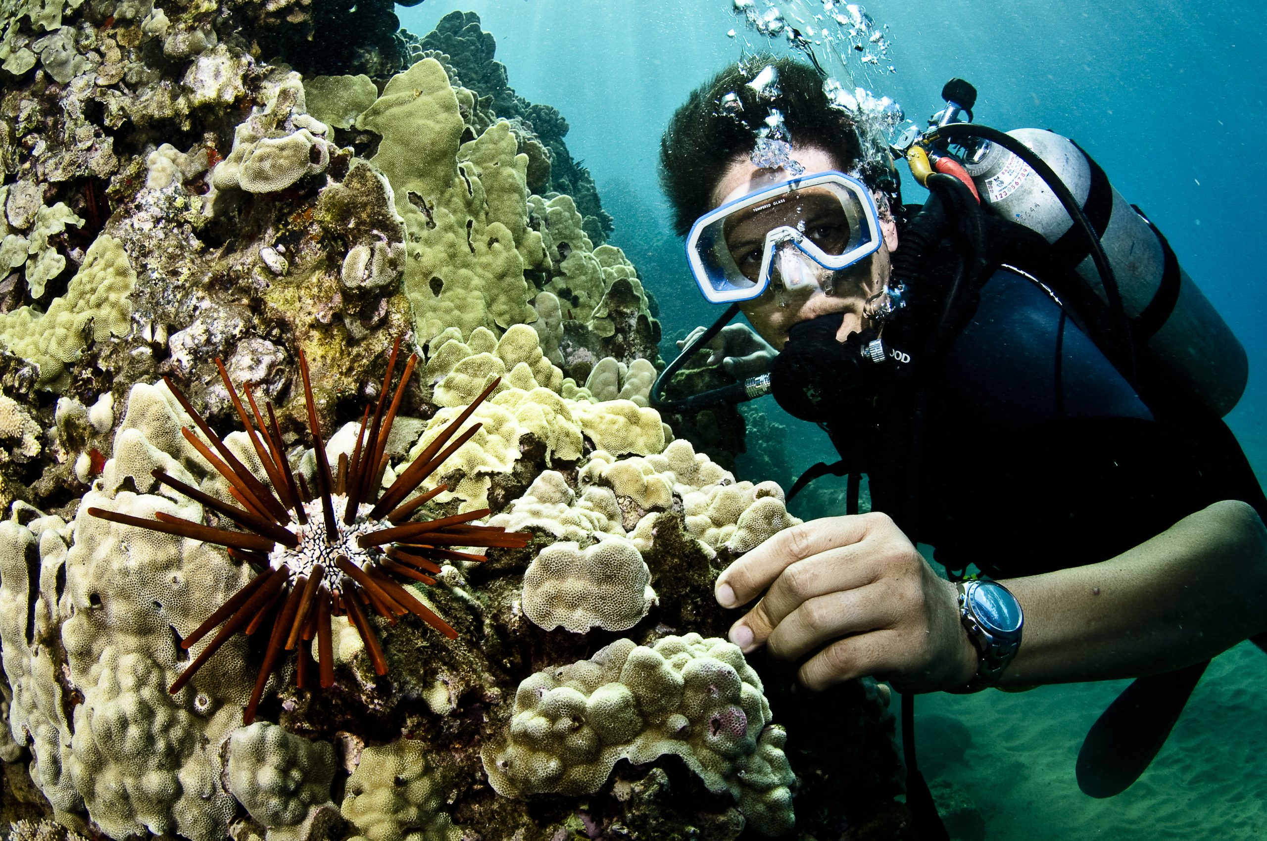 Ted Miller UBMS-Chet Holms, Tony Robbins Under water
